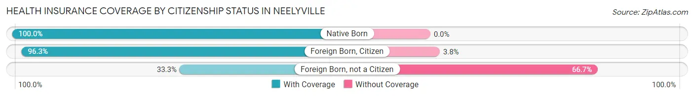 Health Insurance Coverage by Citizenship Status in Neelyville