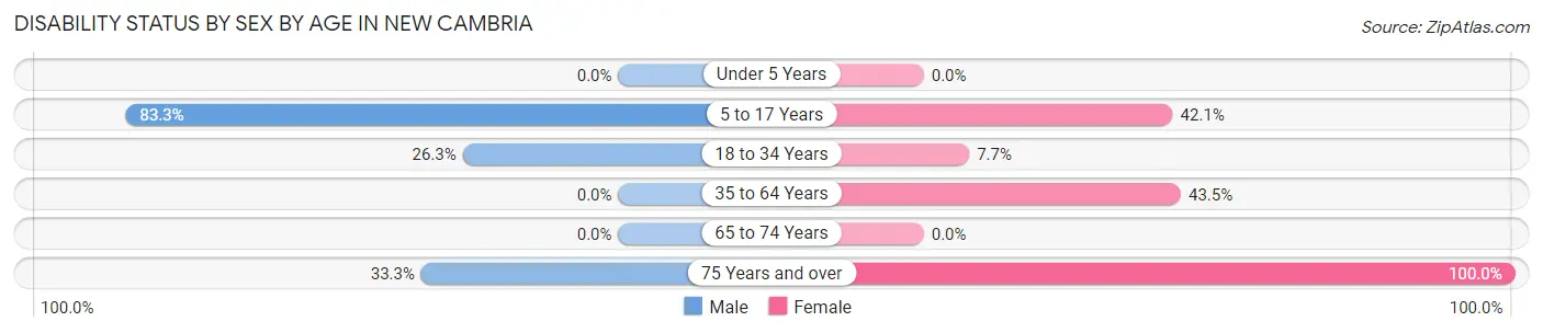 Disability Status by Sex by Age in New Cambria