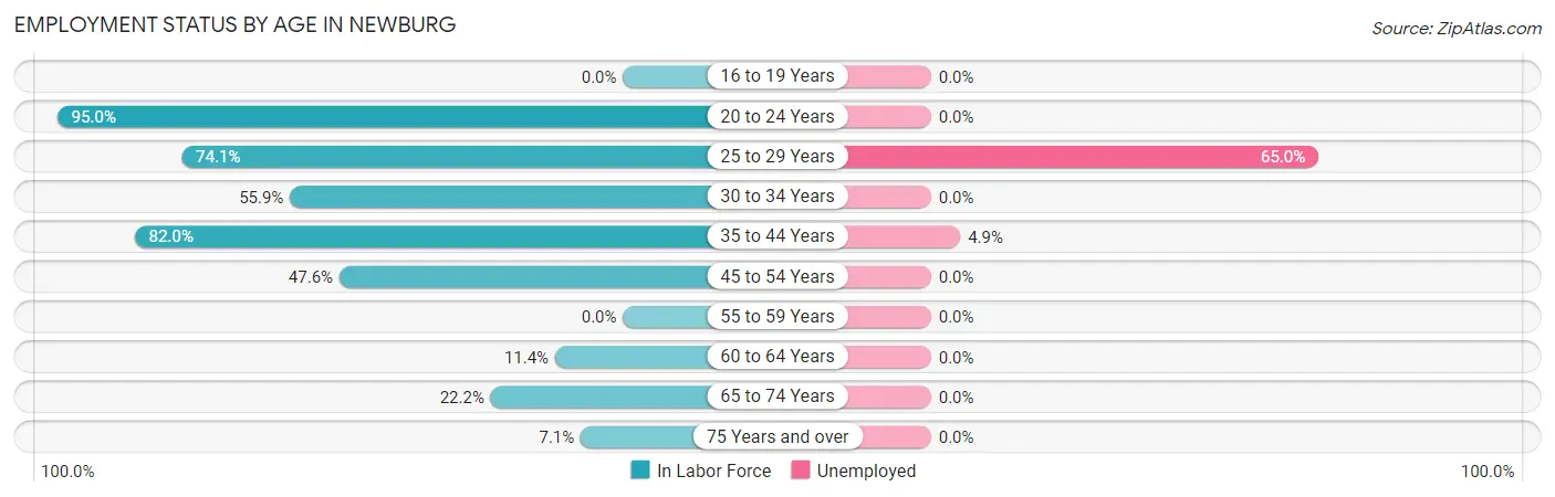 Employment Status by Age in Newburg