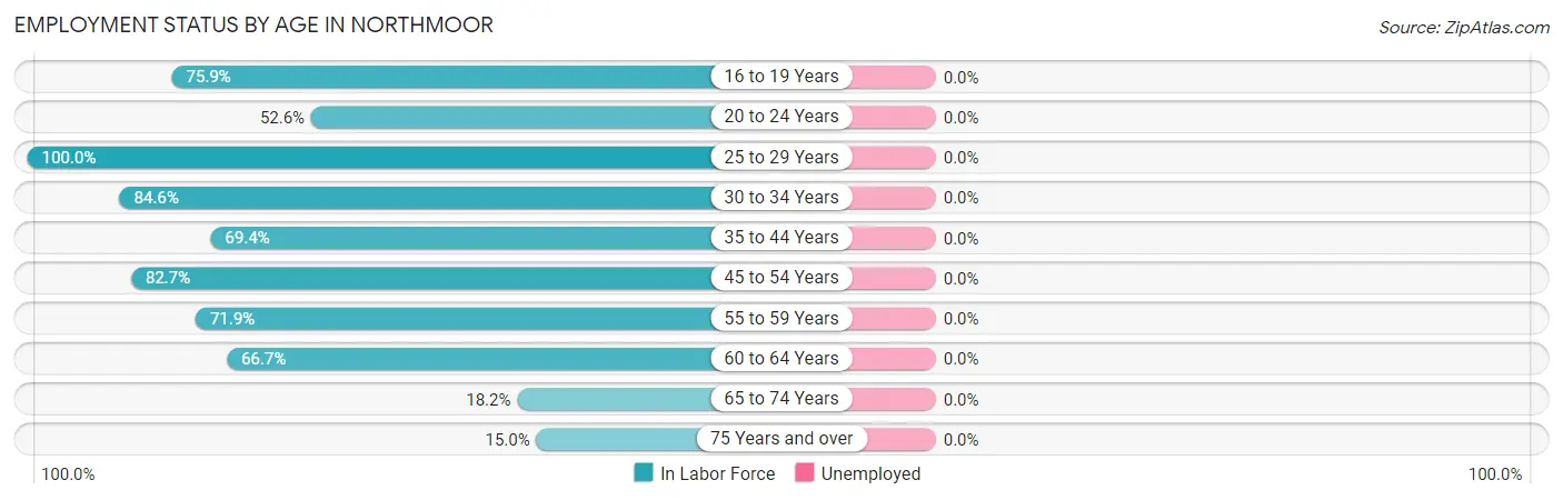 Employment Status by Age in Northmoor