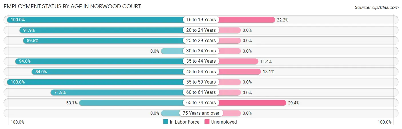 Employment Status by Age in Norwood Court