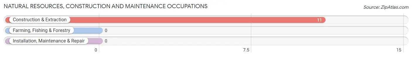 Natural Resources, Construction and Maintenance Occupations in Oaks