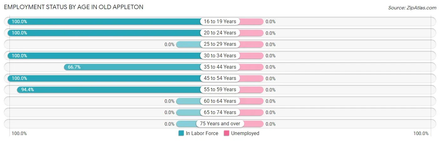 Employment Status by Age in Old Appleton