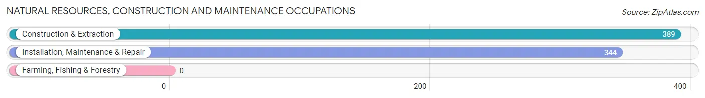 Natural Resources, Construction and Maintenance Occupations in Ozark