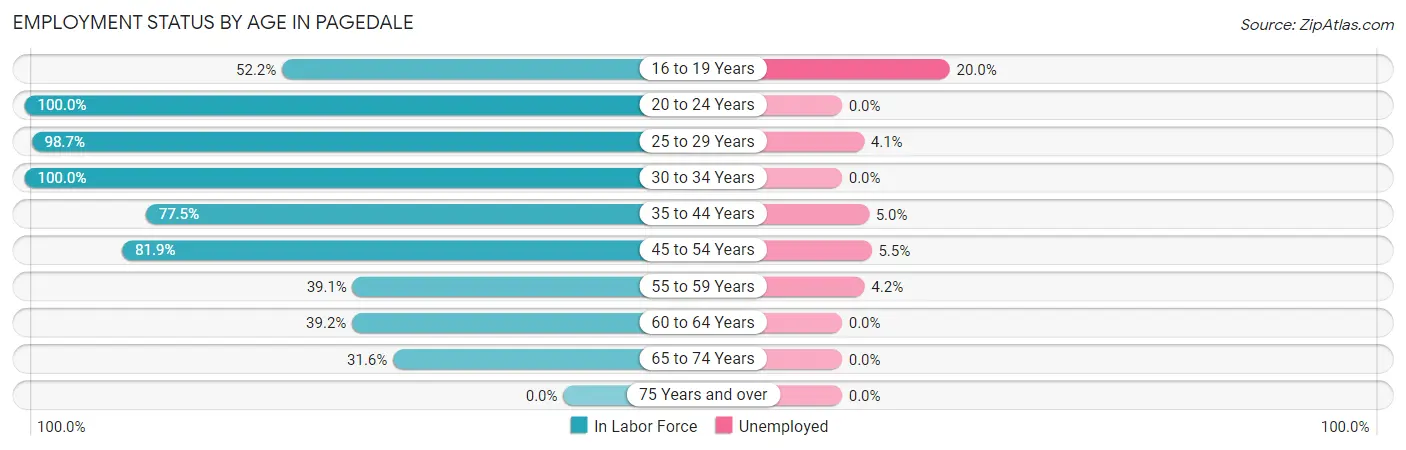 Employment Status by Age in Pagedale