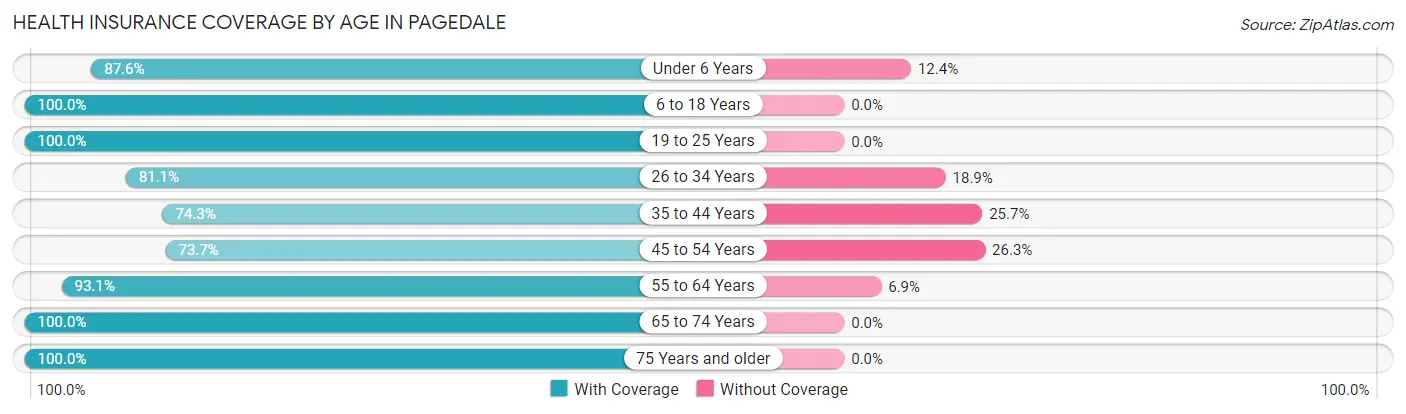 Health Insurance Coverage by Age in Pagedale