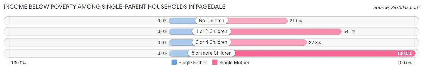 Income Below Poverty Among Single-Parent Households in Pagedale