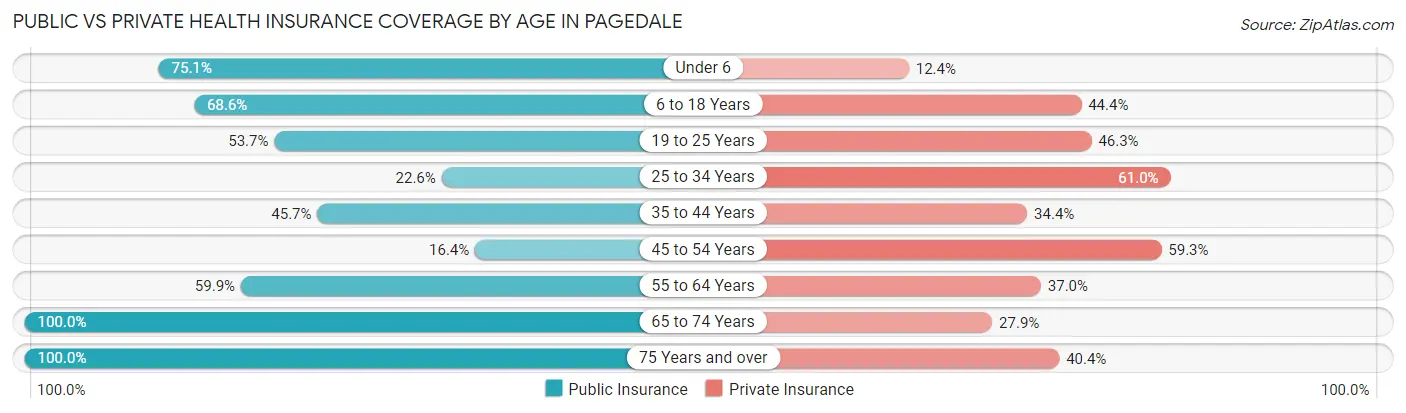 Public vs Private Health Insurance Coverage by Age in Pagedale
