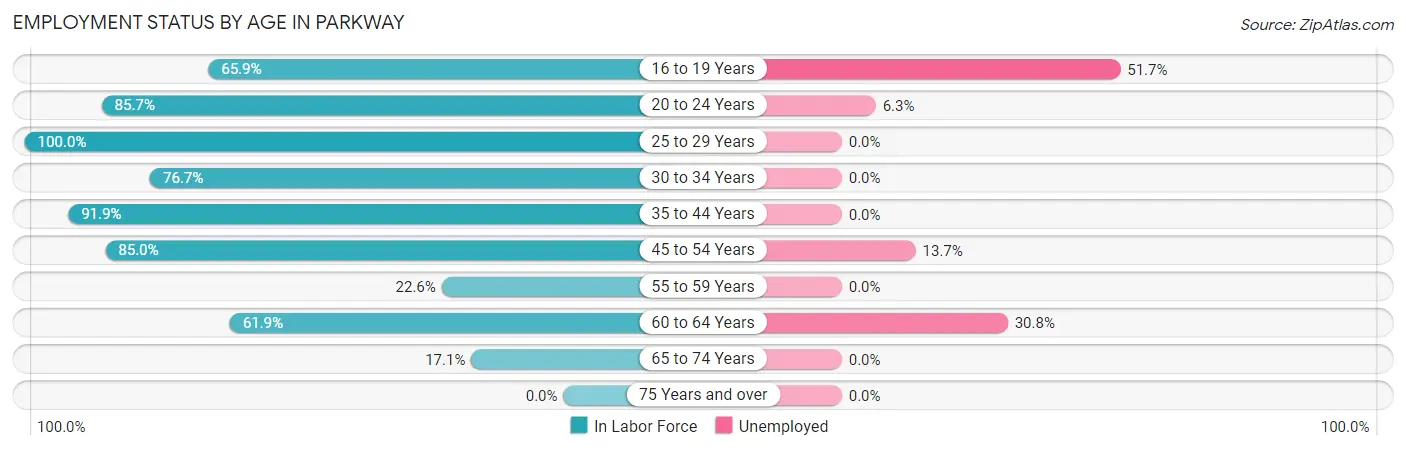 Employment Status by Age in Parkway