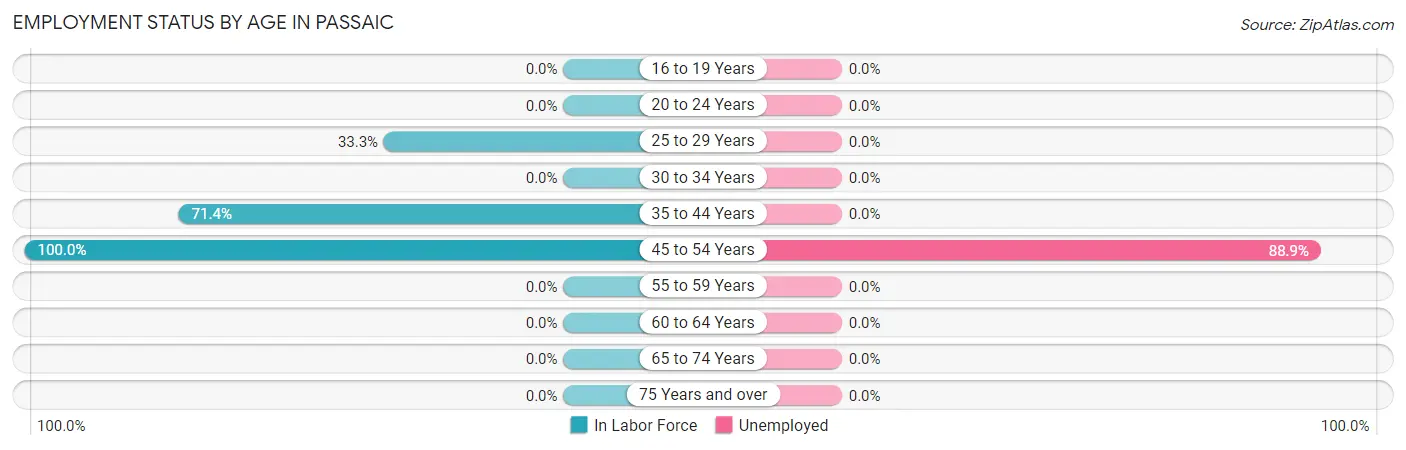 Employment Status by Age in Passaic