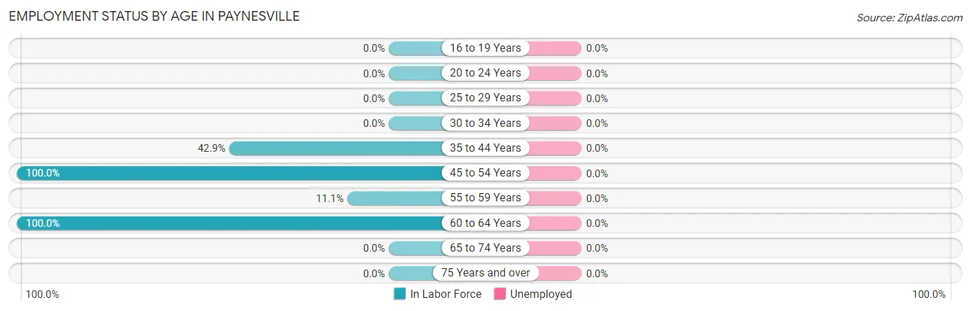 Employment Status by Age in Paynesville