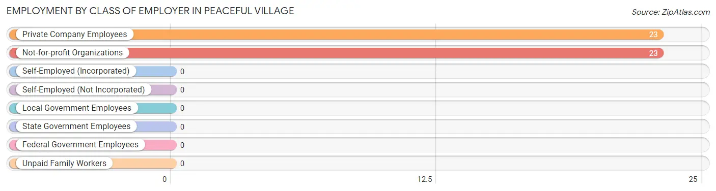 Employment by Class of Employer in Peaceful Village