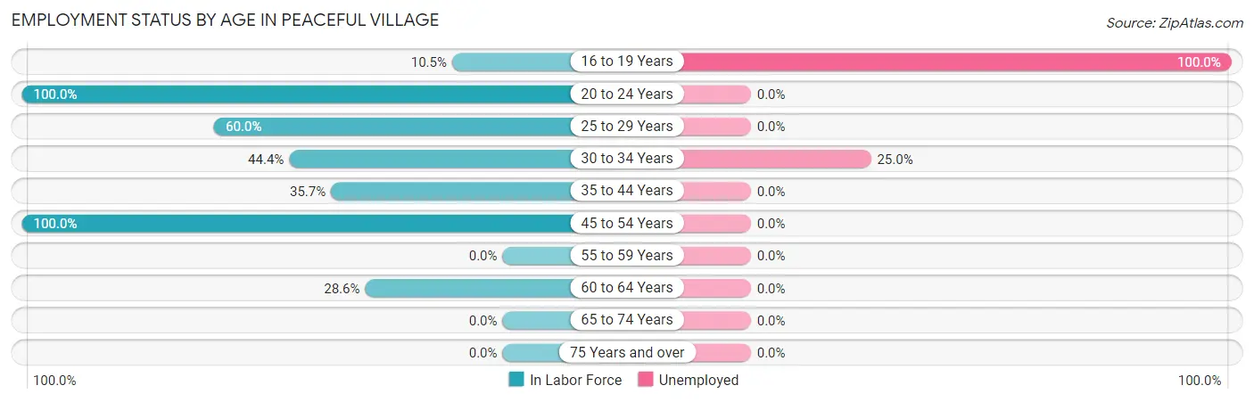 Employment Status by Age in Peaceful Village