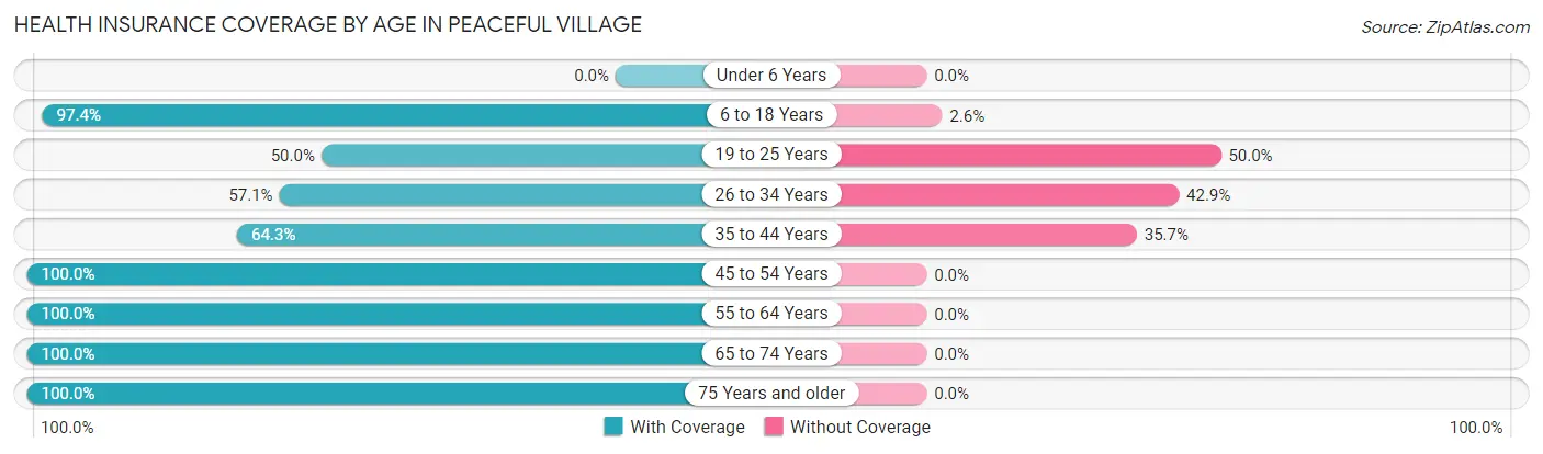 Health Insurance Coverage by Age in Peaceful Village