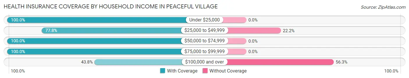 Health Insurance Coverage by Household Income in Peaceful Village