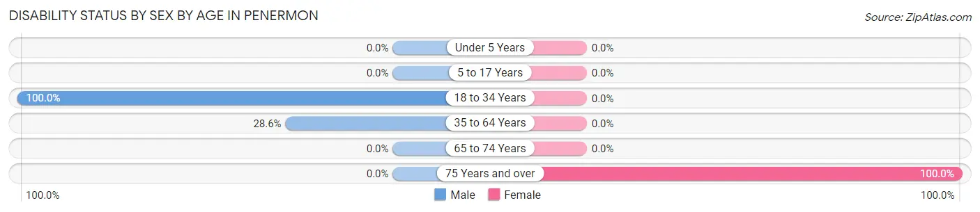 Disability Status by Sex by Age in Penermon