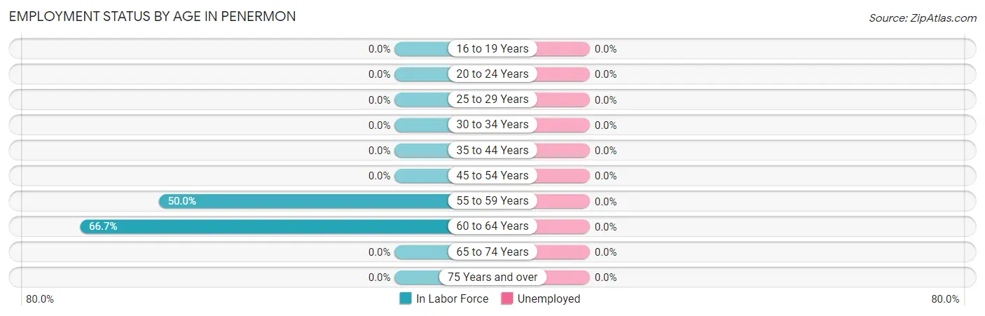 Employment Status by Age in Penermon