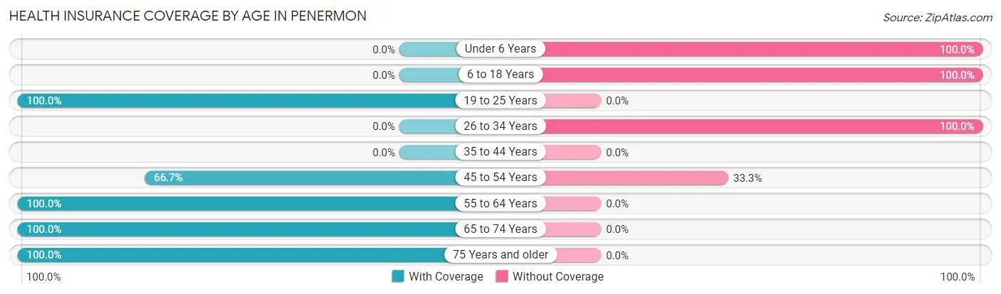 Health Insurance Coverage by Age in Penermon