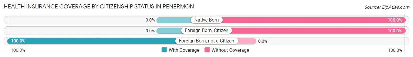 Health Insurance Coverage by Citizenship Status in Penermon