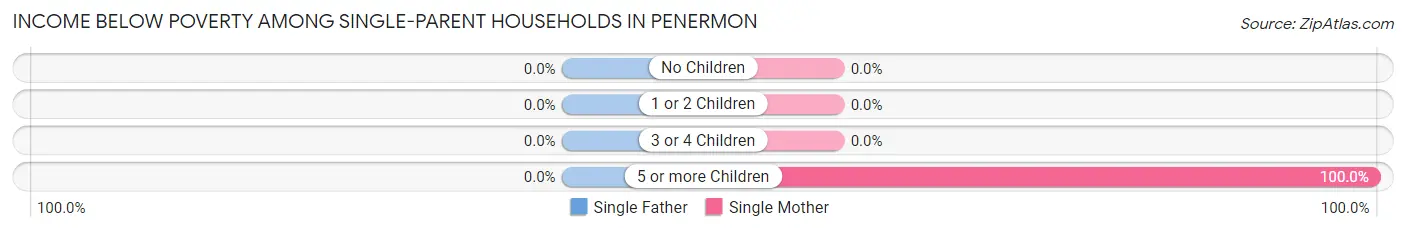 Income Below Poverty Among Single-Parent Households in Penermon