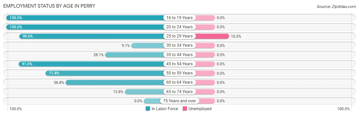 Employment Status by Age in Perry
