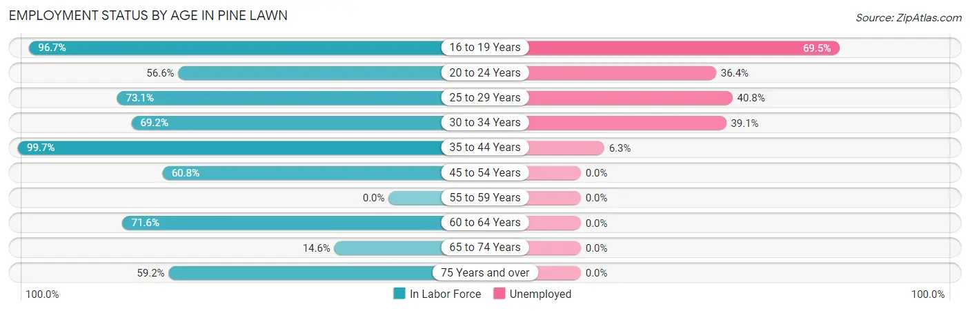 Employment Status by Age in Pine Lawn