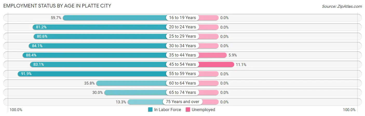 Employment Status by Age in Platte City
