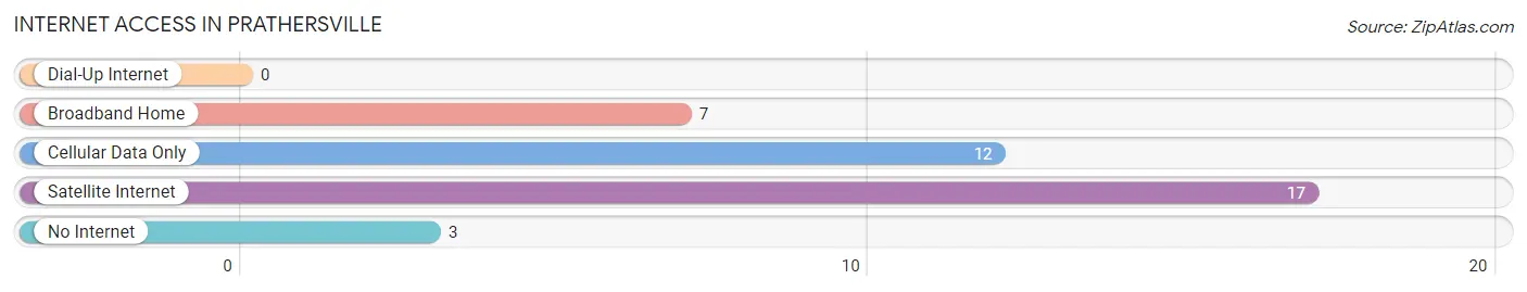 Internet Access in Prathersville