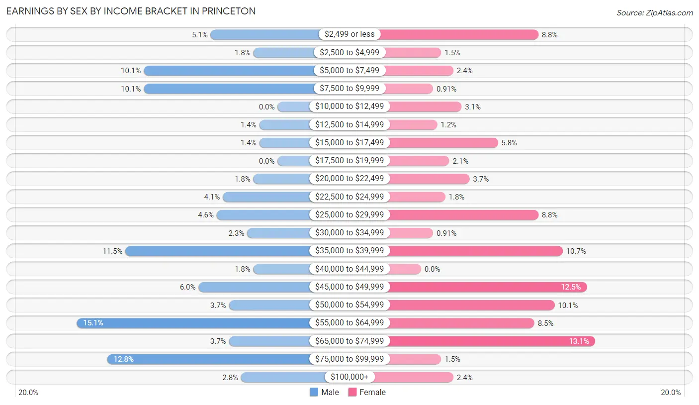 Earnings by Sex by Income Bracket in Princeton