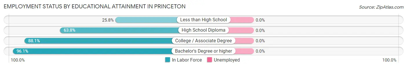 Employment Status by Educational Attainment in Princeton