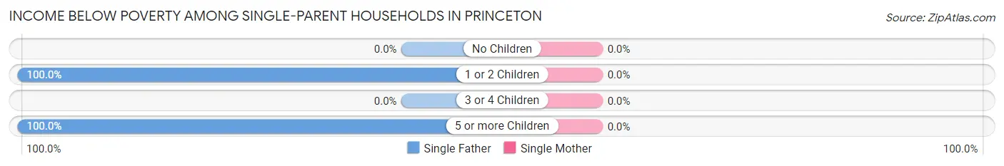 Income Below Poverty Among Single-Parent Households in Princeton