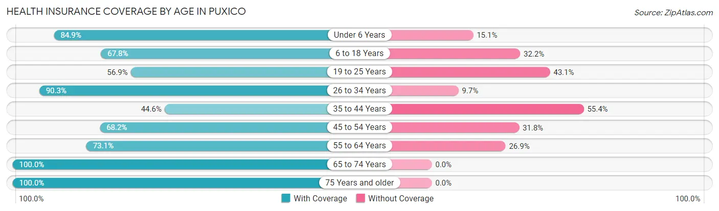Health Insurance Coverage by Age in Puxico