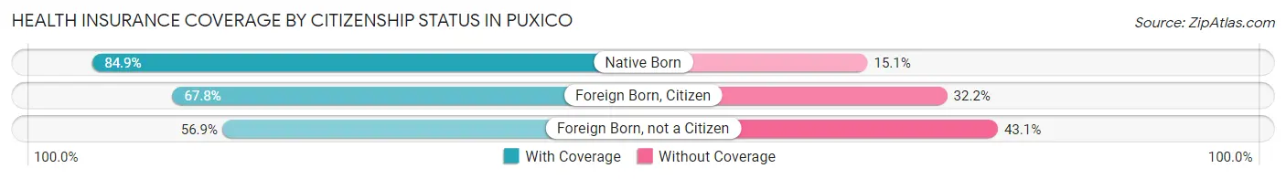 Health Insurance Coverage by Citizenship Status in Puxico