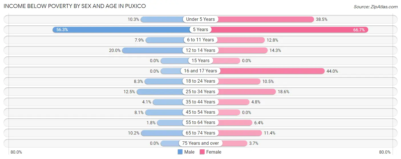 Income Below Poverty by Sex and Age in Puxico