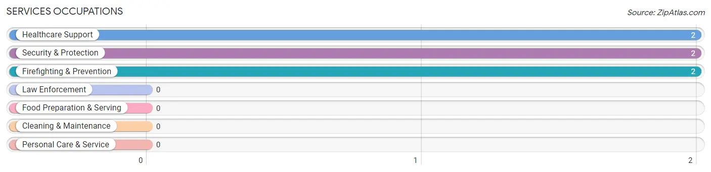 Services Occupations in Quitman