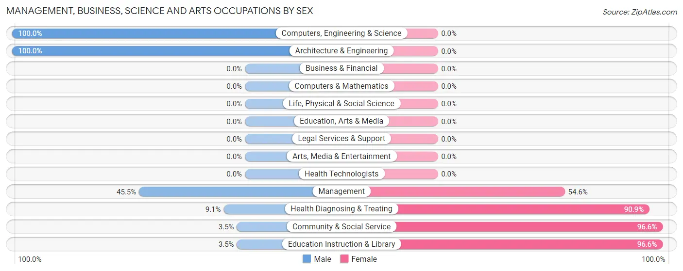Management, Business, Science and Arts Occupations by Sex in Raymondville