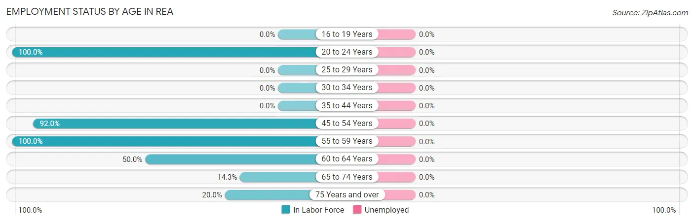Employment Status by Age in Rea