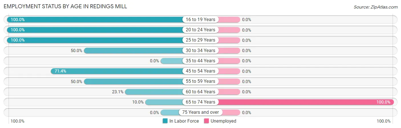 Employment Status by Age in Redings Mill