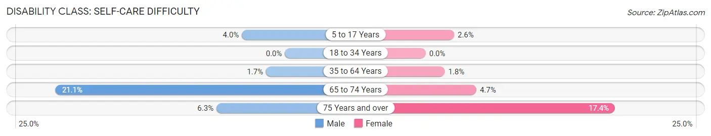 Disability in Republic: <span>Self-Care Difficulty</span>