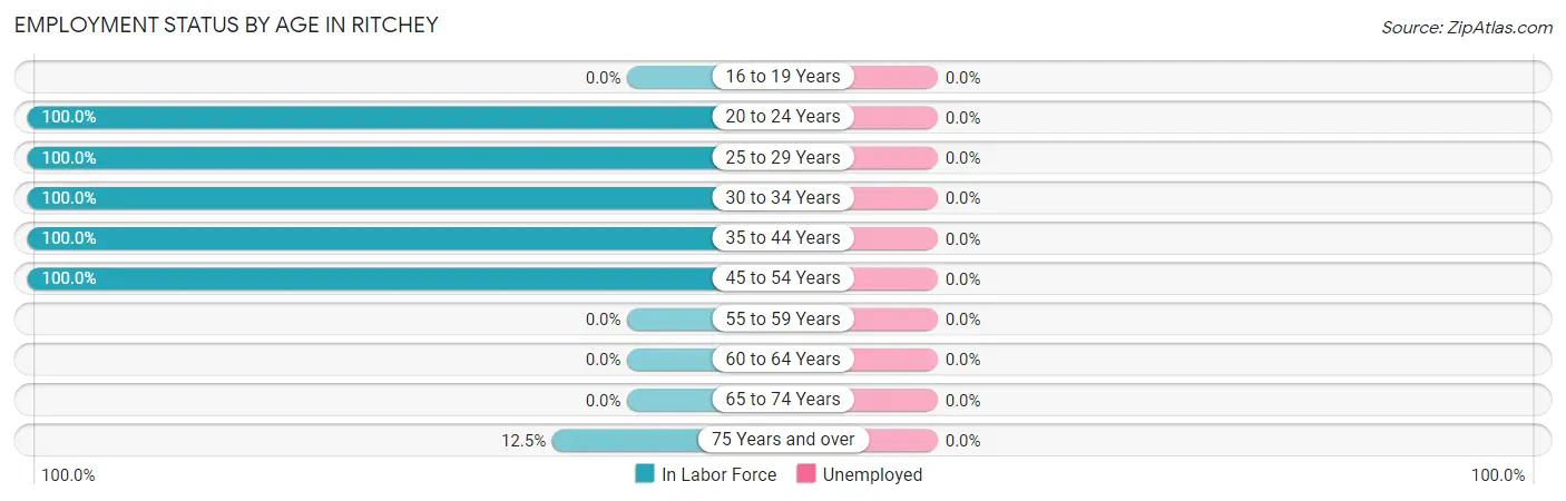 Employment Status by Age in Ritchey