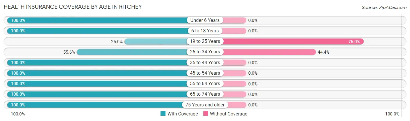 Health Insurance Coverage by Age in Ritchey