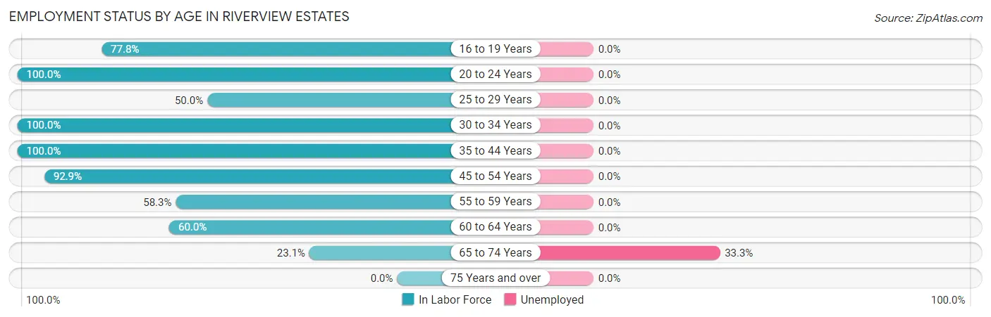 Employment Status by Age in Riverview Estates