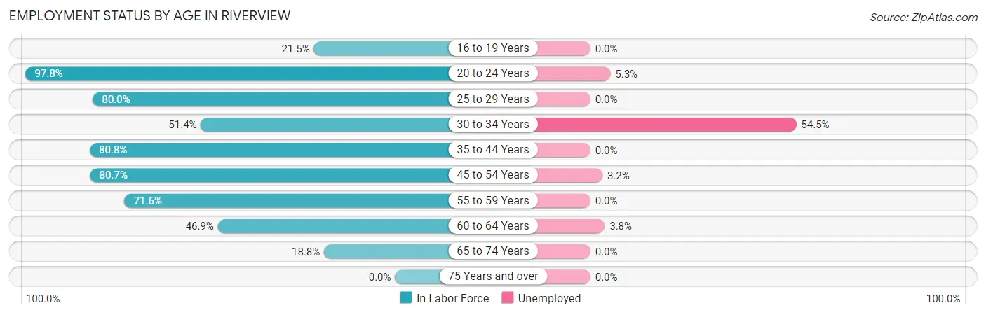 Employment Status by Age in Riverview