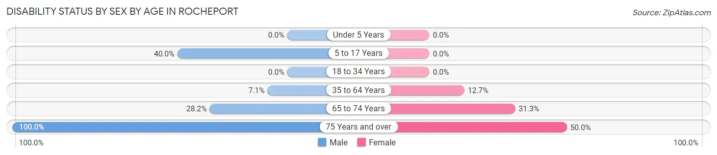 Disability Status by Sex by Age in Rocheport