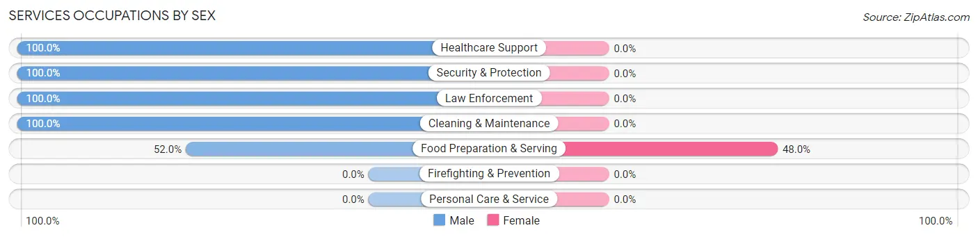 Services Occupations by Sex in Rocheport