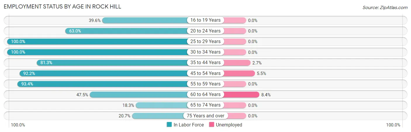 Employment Status by Age in Rock Hill