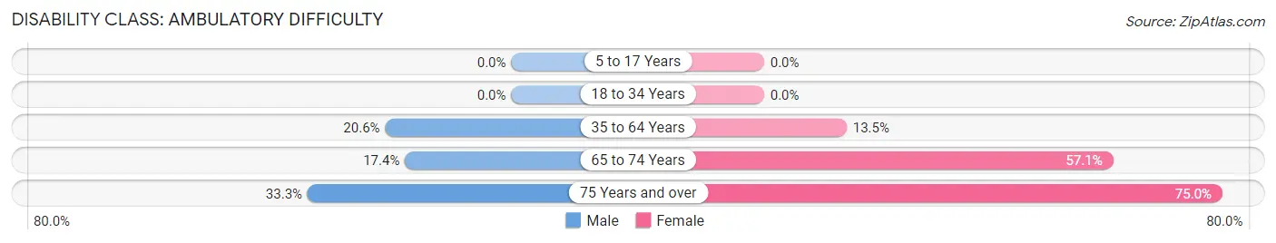 Disability in Rockville: <span>Ambulatory Difficulty</span>