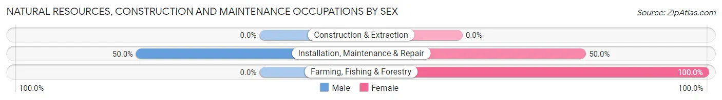 Natural Resources, Construction and Maintenance Occupations by Sex in Rushville