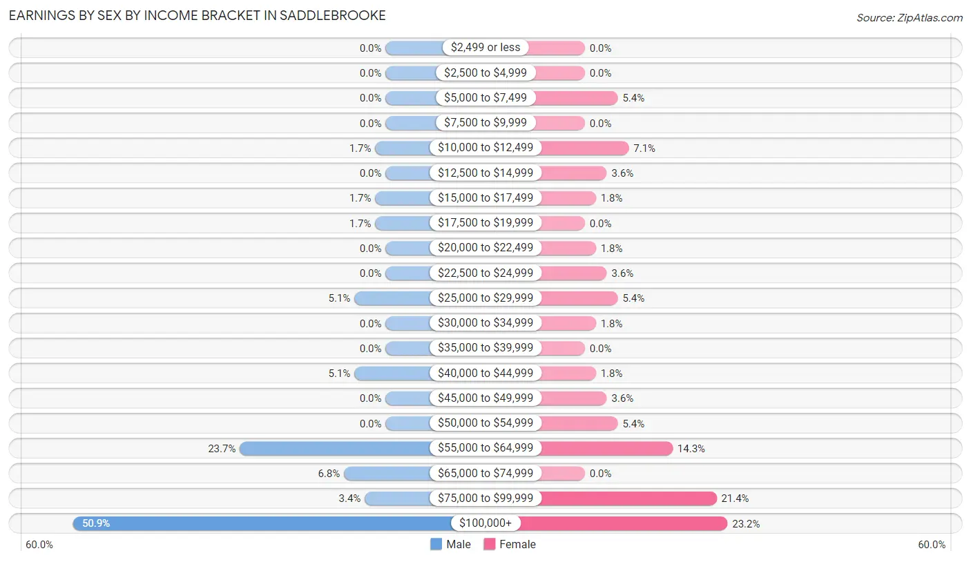 Earnings by Sex by Income Bracket in Saddlebrooke