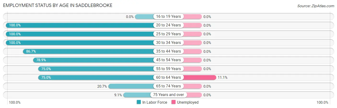 Employment Status by Age in Saddlebrooke
